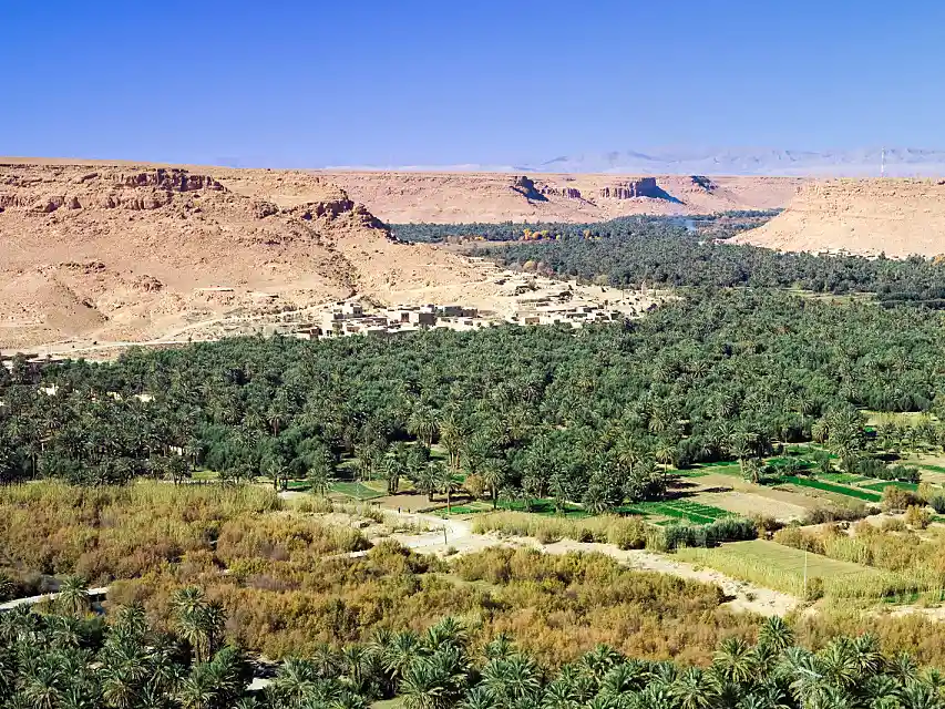 A scenic view overlooking the gorges carved by Oued Ziz, with lush palm trees lining the riverbanks below. The river broadens at Errachidia, creating a vast plain adorned with one of Morocco's largest palm groves.