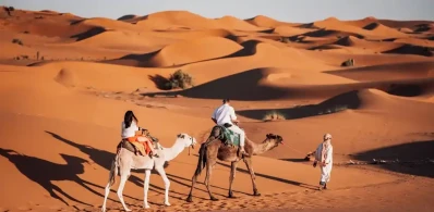 Tourists enjoying a camel ride in Merzouga across the highest Sahara dunes during a guided desert tour in Morocco.