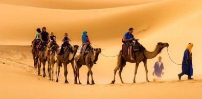 Camel caravan crossing the golden dunes of Merzouga during a guided Sahara desert tour in Morocco.