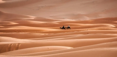Tourists riding camels through the sand dunes of Merzouga during a Sahara desert tour in Morocco.