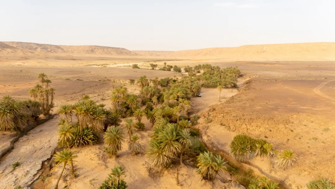 Safsaf Oasis near Merzouga Morocco – hidden palm oasis in the Sahara Desert visited on a private 4x4 day trip
