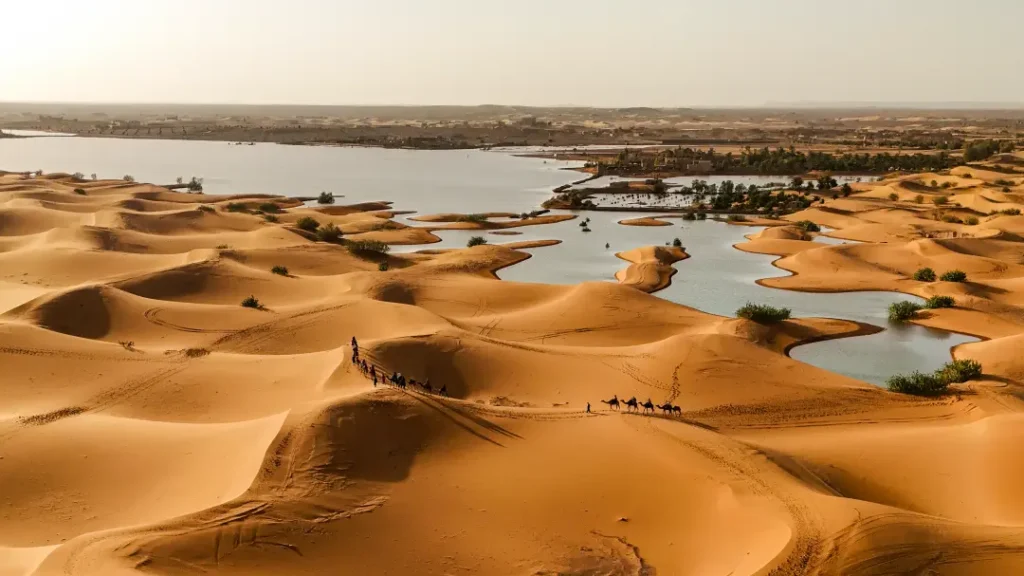 Merzouga and Erg Chebbi Travel Guide – Camel Trek by Lake Dayet Srij